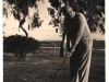 john-glascock-mays-playing-golf1949
