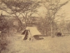 lenox-murrays-probably-tent-while-surveying-in-kenya-pre-1914