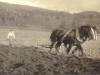 margaret-molteno-ploughing-w-prince-and-nancy-glen-lyon-1916