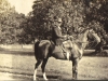 bessie-molteno-riding-at-glen-lyon-1914