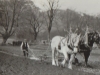 ploughing-match-duneaves-near-glen-lyon-1913