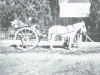 nelspoort-buggy-abt-a-century-ago