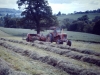 painswick-gathering-hay