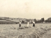 parklands-hay-making-margaret-molteno-islay-gwen-bisset-1915