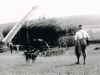 parklands-haymaking-on-the-farm-before-the-1920s
