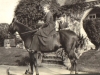 parklands-margaret-molteno-riding-pre-1914
