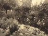 trevaldwyn-in-llandrindod-the-garden-may-freddie-parkers-nursing-home-c-1915