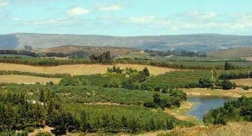 elgin-apple-farming-today-panoramic-view