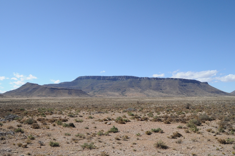 karoo-veld-and-mountain