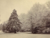 boyle-farm-thames-ditton-a-rare-hoar-frost-mid-1890s