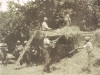 elgin-haymaking-in-the-apple-orchards1920s