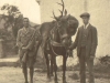 glen-lyon-deer-stalking-jervis-molteno-ghilly-with-the-bag-sept-1913