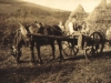 glen-lyon-haymaking-all-hard-at-work-july-1926
