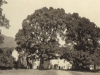 glenlyon-house-viewed-from-the-drive-august-1913