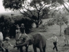 Marania-the-murray-children-playing-with-baby-elephant