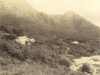 millers-point-mountains-behind-c-1900