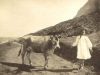 millers-point-probably-cow-blocking-the-track-to