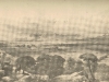 berg-river-valley-panoramic-view-19th-century