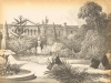 cape-town-botanical-gardens-19th-century