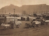 cape-town-docks-c-1900