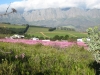 hottentots-holland-mountains-today