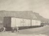 railway-trucks-for-fruit-exports-cape-town-docks-1956