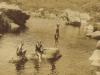 ted-molteno-right-w-jervis-molteno-kathleen-murray-swimming-in-bains-kloof-jan-1917