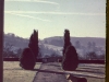 painswick-looking-across-valley-from-porch-1960s