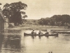 palmiet-river-canoeing