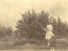palmiet-river-examining-ripe-pears-in-kathleen-murrays-new-orchard-1920s