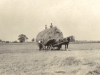 parklands-hay-making-1915