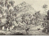Cape-town-devils-peak-view-from-the-liesbeek-river-1832